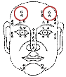 Physiognomy analysis: 13, 12 life palace figure _ to visit fortune-teller accomplishment