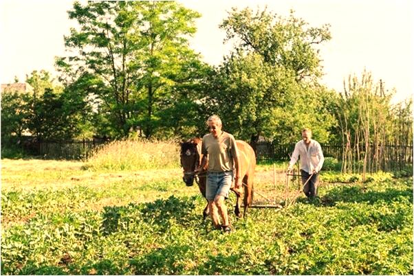夢到自己得尿毒症什麼寓意_周公解夢官網