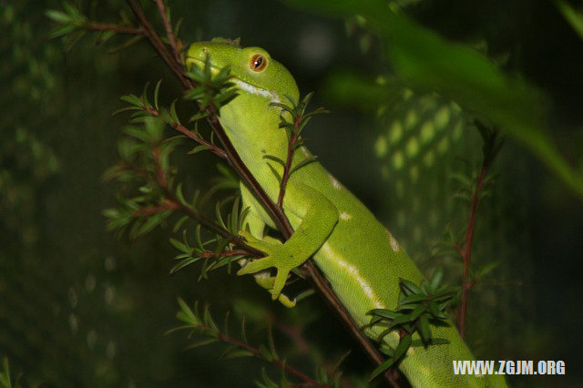 夢見下水道堵了_周公解夢夢到下水道堵了是什麼意思_做夢夢見下水道堵了好不好_周公解夢官網