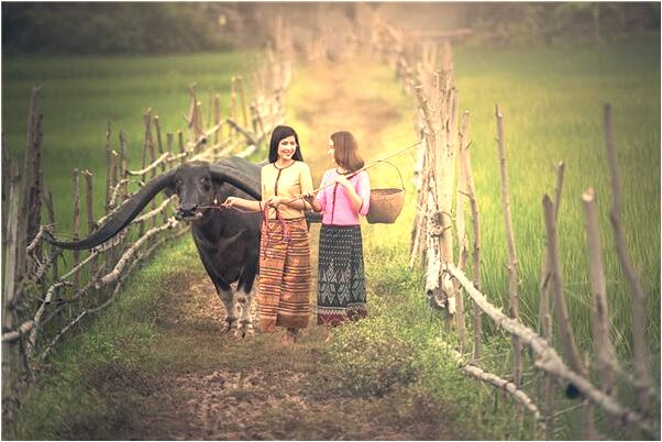 夢到墳山前全是大火意味著什麼_周公解夢官網