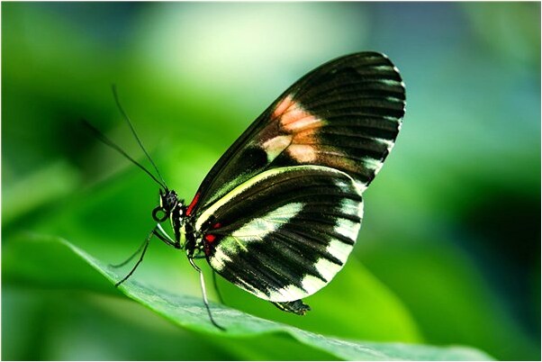 夢到大河淹了村子會是什麼預兆_周公解夢官網