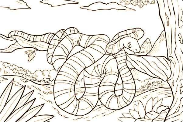 夢見螃蟹消失是啥意思_周公解夢官網