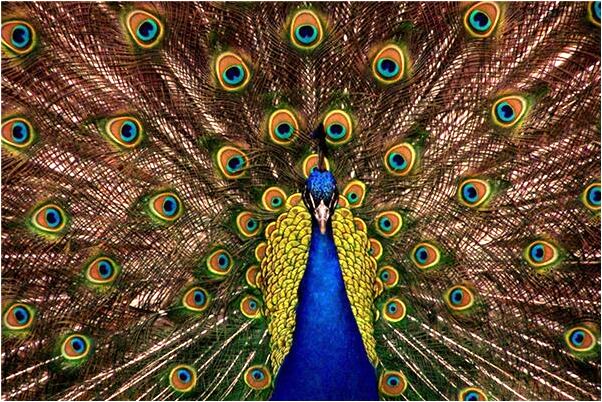 夢到了女兒變成兒子會是什麼預兆_周公解夢官網