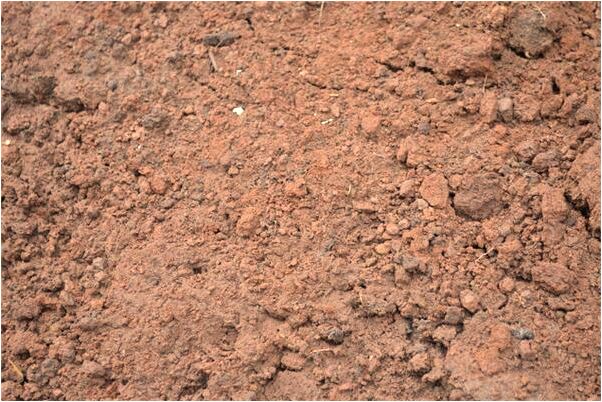 夢見小偷進家關門捉賊意味著什麼_周公解夢官網