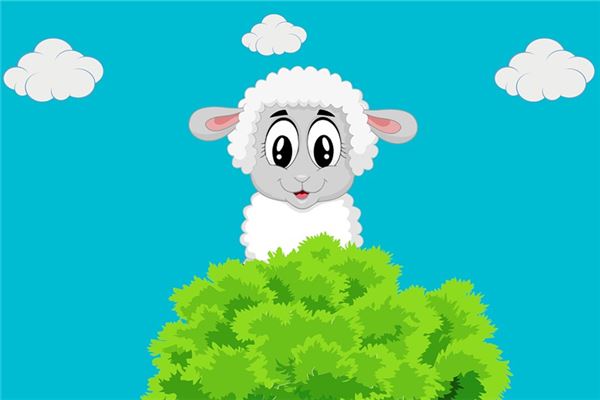 屬羊2020年運勢_十二生肖