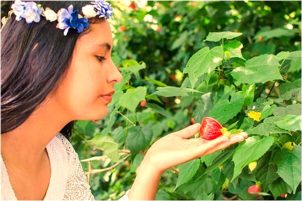 夢到媽媽懷孕生雙胞胎的預兆_周公解夢官網