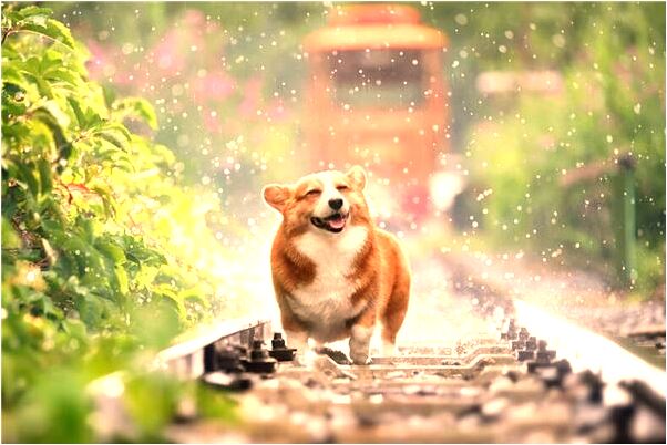 夢見肏女兒是凶兆還是吉兆_周公解夢官網