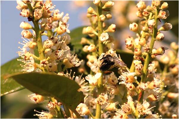 夢見被感動的痛哭會有什麼預兆_周公解夢官網