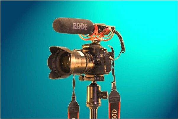 夢到了種玉米時挖窩會怎么樣_周公解夢官網