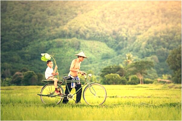 夢到了寺廟和菩薩什麼寓意_周公解夢官網