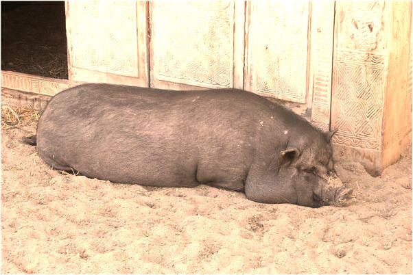 夢到和別的女人爭風吃醋是不是好的徵兆呢_周公解夢官網