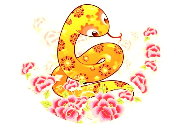 夢到我和媽逛菜市場什麼預兆_周公解夢官網