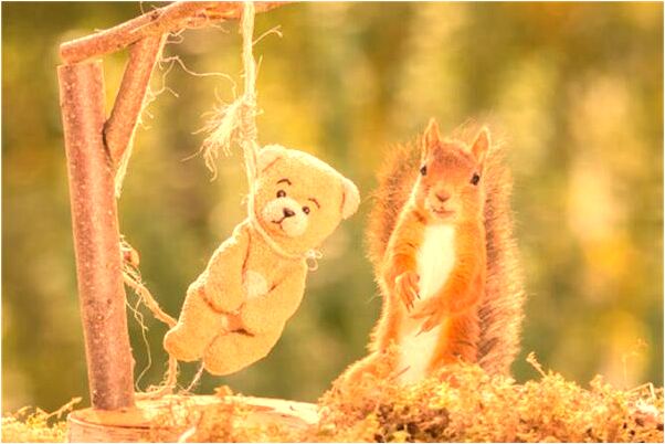 夢到自己頭髮吊一片是凶兆還是吉兆_周公解夢官網