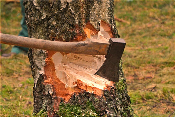 夢到了大黑色蜘蛛意味著什麼_周公解夢官網