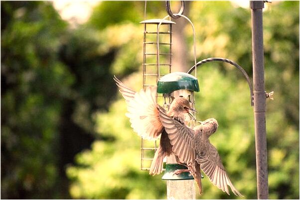 夢見躲官兵是吉兆嗎?_周公解夢官網