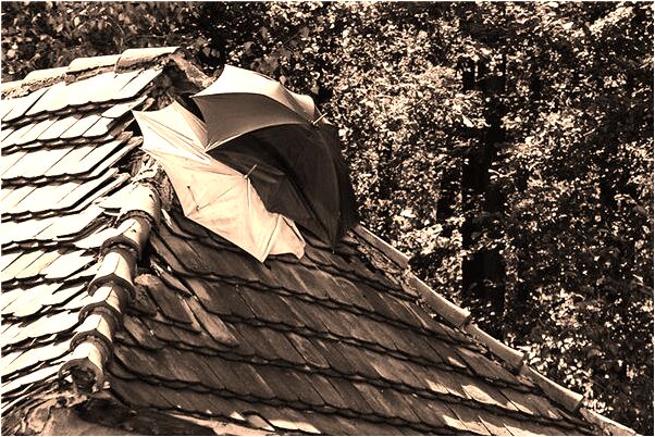 夢到了下雨魚戲台是什麼預兆_周公解夢官網