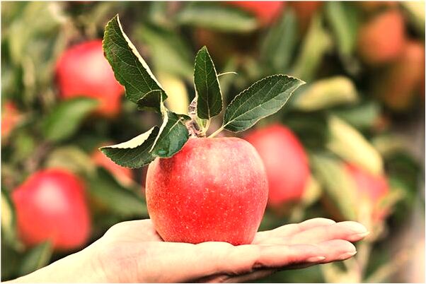 夢到了床上滿是水有什麼說法_周公解夢官網