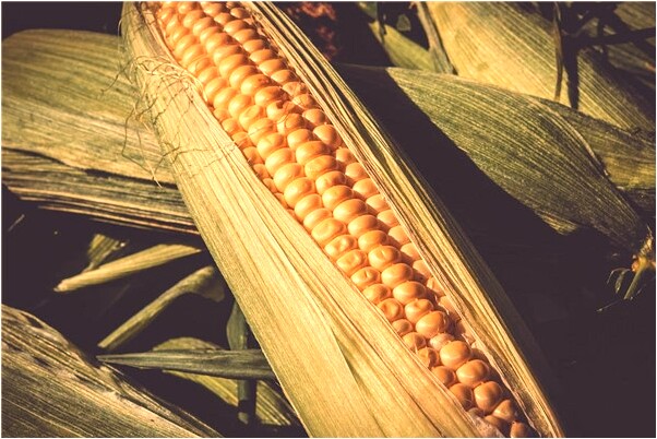 夢見快被殺有何寓意_周公解夢官網