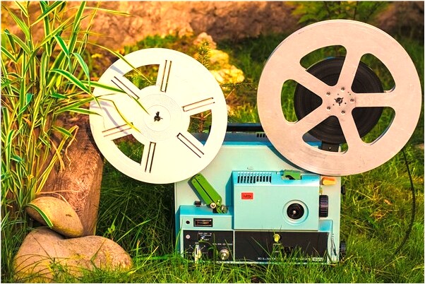 夢見小魚變大怪魚是什麼意思_周公解夢官網