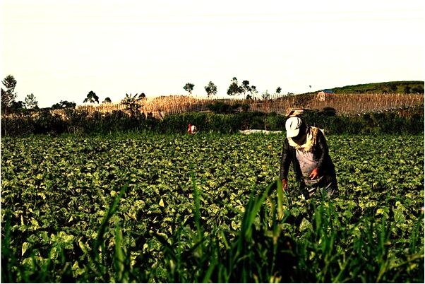 夢到了把別人的房子點燃是啥預兆_周公解夢官網