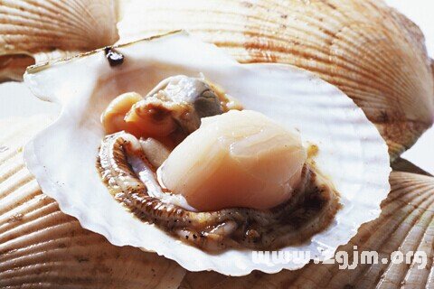 Dream of clam