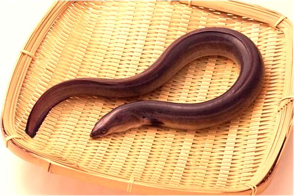 夢見自己的頭髮斷了很多的預兆_周公解夢官網