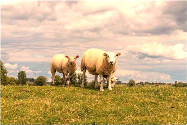 夢到了神仙上身怎么回事_周公解夢官網