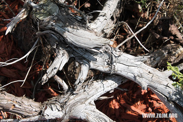 夢見掉進井裡又上來了_周公解夢夢到掉進井裡又上來了是什麼意思_做夢夢見掉進井裡又上來了好不好_周公解夢官網