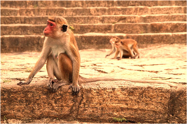 夢到了自已對領導發火預示什麼_周公解夢官網