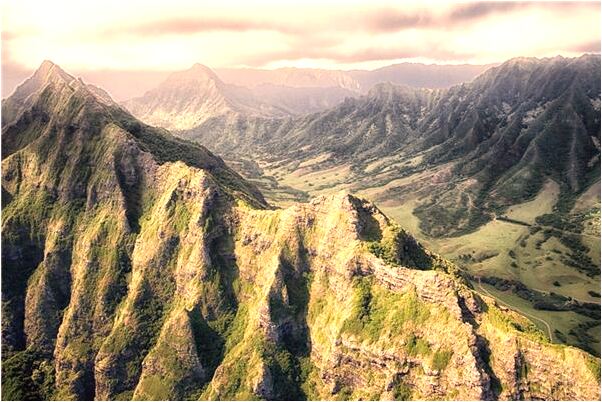 夢到了自己撿到很多田螺預示著什麼_周公解夢官網