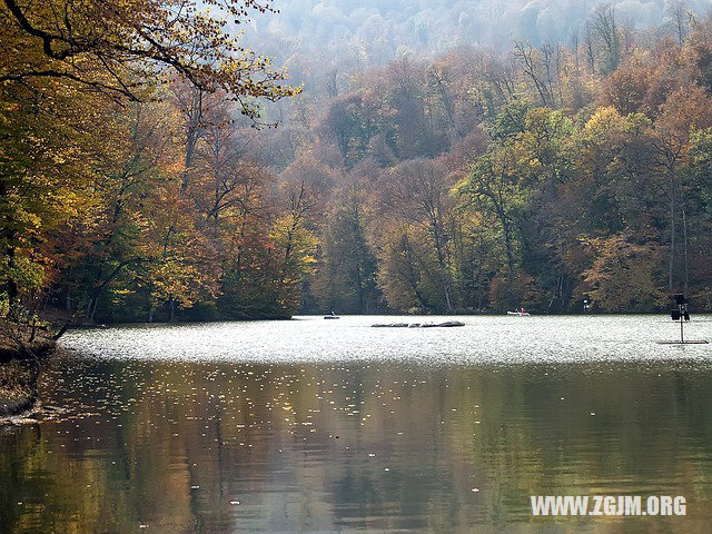 夢見女子上吊我救下她_周公解夢夢到女子上吊我救下她是什麼意思_做夢夢見女子上吊我救下她好不好_周公解夢官網