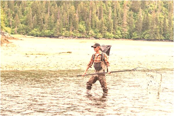 夢到了父母拉車會怎么樣_周公解夢官網