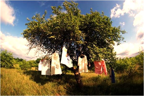 夢見漲水後落水有什麼意義嗎_周公解夢官網