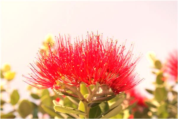 夢見和好多女人比武是咋回事_周公解夢官網