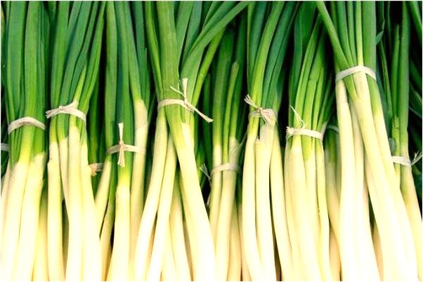 夢到了已故親人送衣服給自己有什麼說法_周公解夢官網