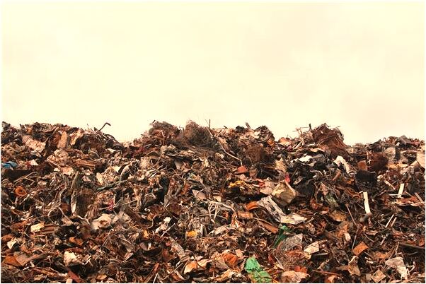 夢到腿部張怪東西啥意思_周公解夢官網