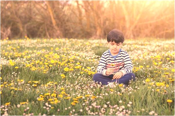 夢到了四個正方形的太陽是什麼徵兆_周公解夢官網