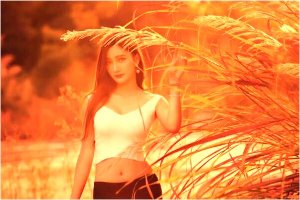 夢到別人帶紅花是好是壞_周公解夢官網