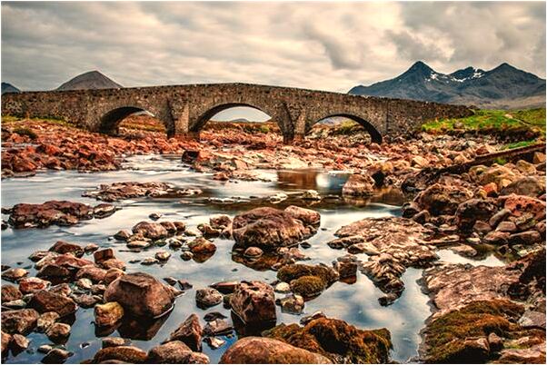 夢見沙果樹預示什麼_周公解夢官網