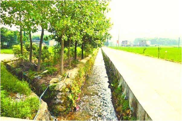 夢見車禍橫死之人會是什麼預兆_周公解夢官網