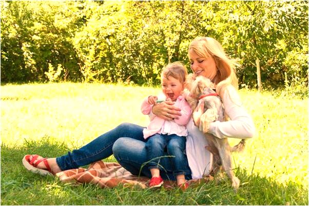 夢見老師看見收了兩摞作業本預示什麼_周公解夢官網