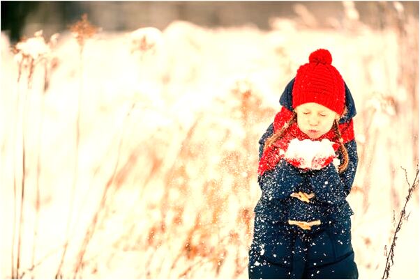 夢見買豬鼻五公斤是什麼兆頭_周公解夢官網