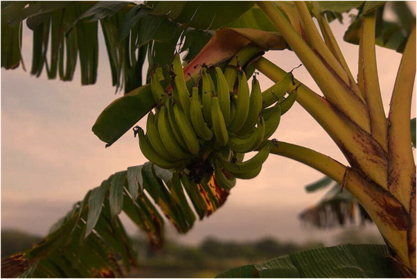 夢到了家電被偷只剩下馬桶是什麼意思_周公解夢官網