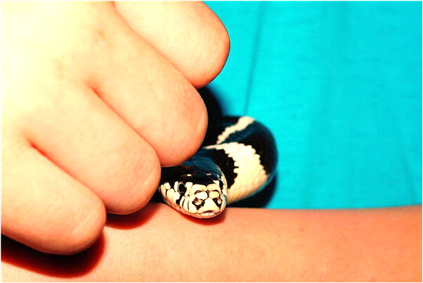 夢見用打火機打著火有什麼寓意嗎_周公解夢官網