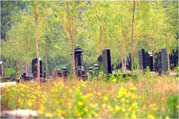 夢到自己掉牙有肉不疼沒血是什麼徵兆_周公解夢官網