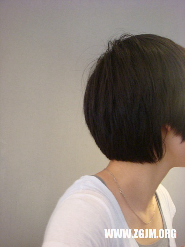 夢見狗追自己_周公解夢夢到狗追自己是什麼意思_做夢夢見狗追自己好不好_周公解夢官網