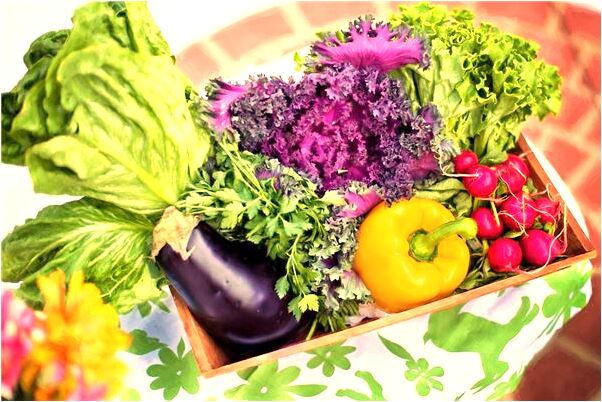 夢見老公有好多老婆是什麼啟示_周公解夢官網