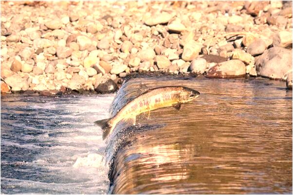 夢到了給同學打電話是啥意思_周公解夢官網