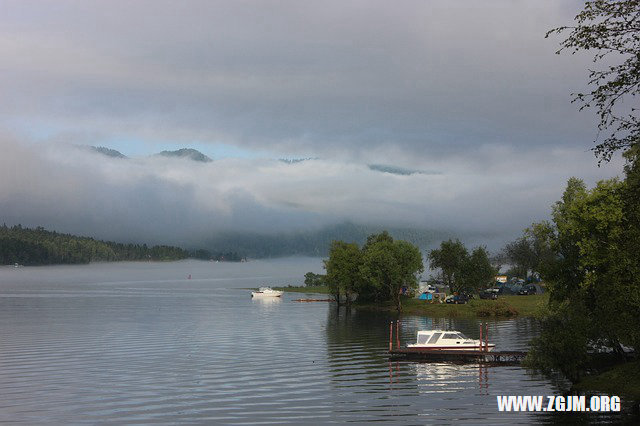 夢見一條大魚向我撲來_周公解夢夢到一條大魚向我撲來是什麼意思_做夢夢見一條大魚向我撲來好不好_周公解夢官網