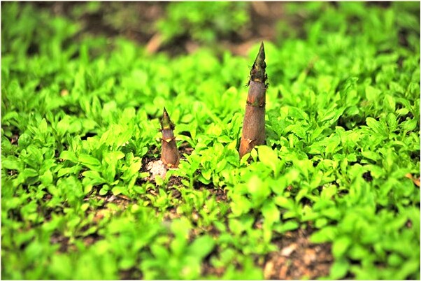 夢到了和打架的同事和好是什麼意思_周公解夢官網